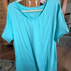 Soft Surroundings Aqua V-Neck Tee